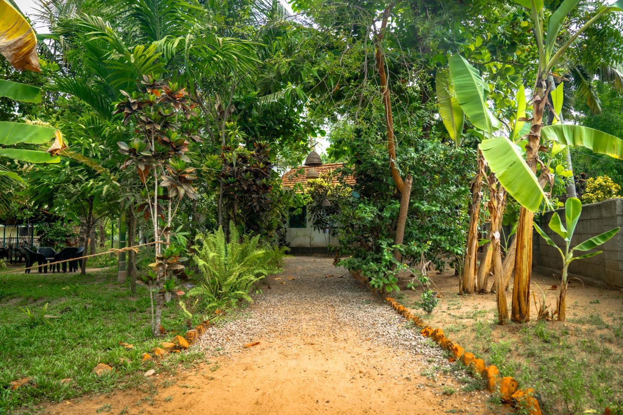 Cliff & Coral Hostel Varkala Exterior foto